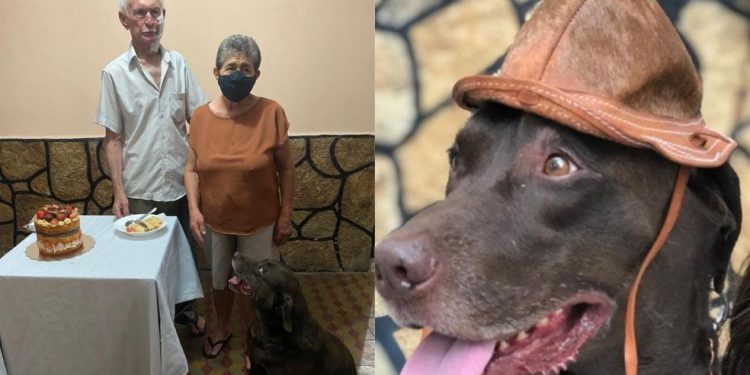 Os avós de Marielle e Alfredo em Crateús, no interior do Ceará (Foto: Arquivo pessoal)