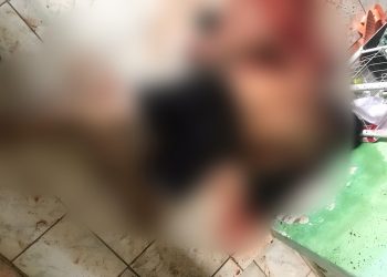 (Foto: Divulgação)