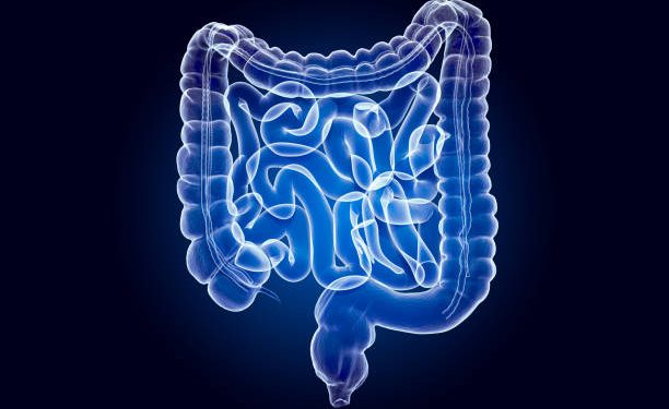 Março Azul: o que você precisa saber para prevenir o câncer colorretal