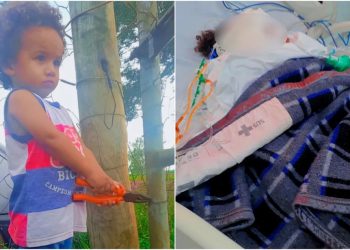 João Lucas Silva Ferreira, de 2 anos, em Goiânia, Goiás (Foto: Arquivo pessoal)