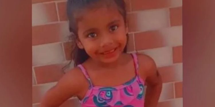 Lara Kália Alves Silva, de 5 anos, morreu após se afogar na piscina de uma chácara na cidade de Farias Brito (Foto: Arquivo pessoal)