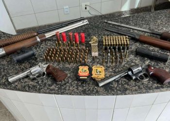 Os agentes se depararam com o material bélico ao executar um mandado de busca e apreensão na residência do profissional de saúde (Foto: Divulgação/PCCE)