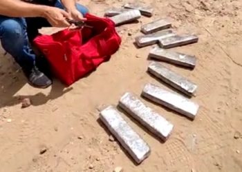 (Foto: Divulgação/PCCE)