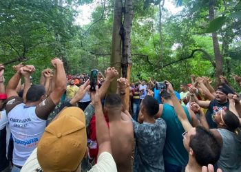 Corte do pau da bandeira de Santo Antônio para a festa do padroeiro da cidade no fim deste mês (Foto: Reprodução)