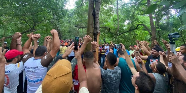 ‘Carregadores’ cortam tronco de angico para a festa do Pau da Bandeira em Barbalha