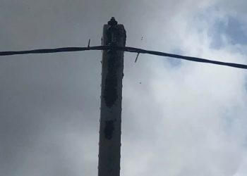 Enxame de abelhas se instalou no topo de um poste de energia elétrica no sítio Estrela, em Barbalha (Foto: Reprodução)