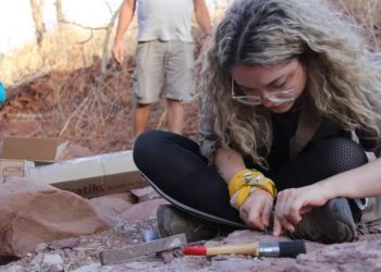 Flaviana Jorge afirmou que fósseis poderão ajudar na compreensão de eventos climáticos (Foto: Reprodução/Twitter)