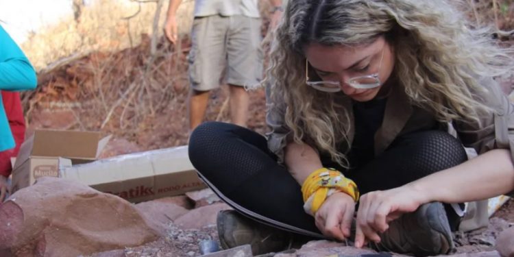 Retorno de fósseis da França ao Cariri deve impulsionar ciência e economia, avalia pesquisadora