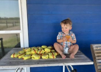 O caso viralizou depois que a mãe do garotinho postou no Facebook uma foto do filho com seus 31 cheeseburguers (Foto: Reprodução/Facebook)
