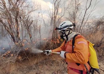 Ceará apresenta redução de 78% nos incêndios em vegetação no primeiro quadrimestre