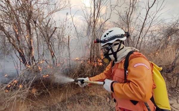 Ceará apresenta redução de 78% nos incêndios em vegetação no primeiro quadrimestre