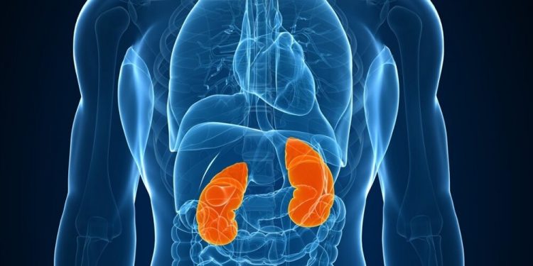 Ministério da Saúde monitora 16 casos suspeitos de hepatite misteriosa no Brasil