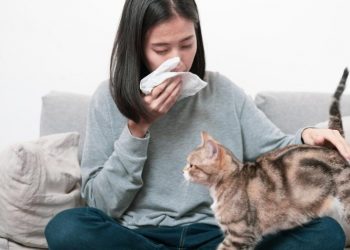 (Foto: Getty Images/iStockphoto)