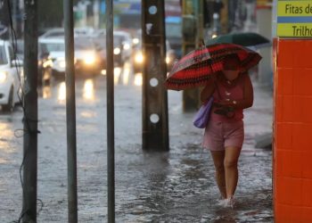 Além de ter sido a maior do País em um intervalo de 24 horas, a chuva em Missão Velha foi a quarta maior do Ceará, em outubro, dos últimos 50 anos (Foto: Fabiane de Paula/Arquivo/Diário do Nordeste)