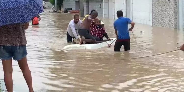 Chuvas em Pernambuco: cães farejadores e bombeiros retornam ao Ceará após ajudar em buscas por corpos