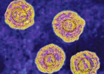 (Imagem: BSIP/Colaborador Getty Images)