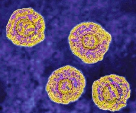 Brasil tem 1º caso ‘provável’ de hepatite misteriosa que ataca crianças