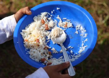 (Foto: Marcelo Coutinho/Fian Brasil)