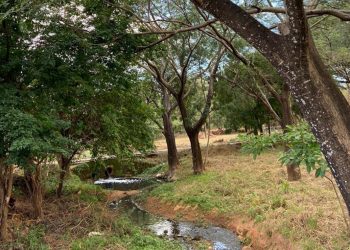O Riacho da Matinha, em Crato, é uma unidade de conservação estadual criada através de Decreto Estadual (Foto: Arquivo)