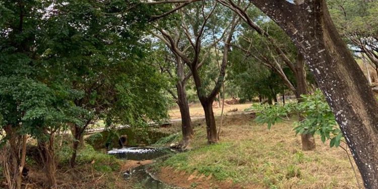 Projeto Viva o Parque chega ao Crato neste domingo (12)