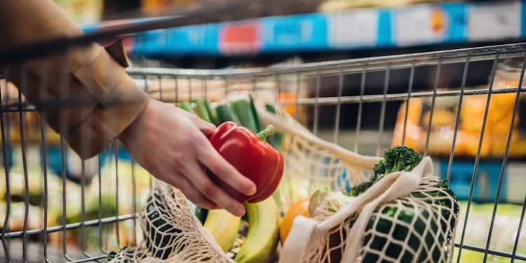 Vale-Alimentação: 6 produtos proibidos de serem comprados com o benefício