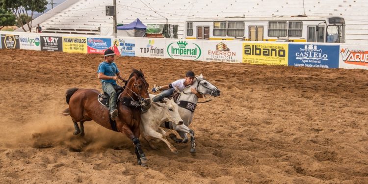 MPCE aciona Prefeitura de Juazeiro do Norte para apurar uso de ar-condicionado em baia de animais de parque de vaquejada