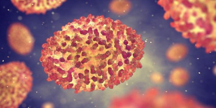 Novo caso suspeito de varíola dos macacos é investigado no Ceará, diz Sesa