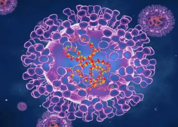 (Foto: Roger Harris/Getty Images)