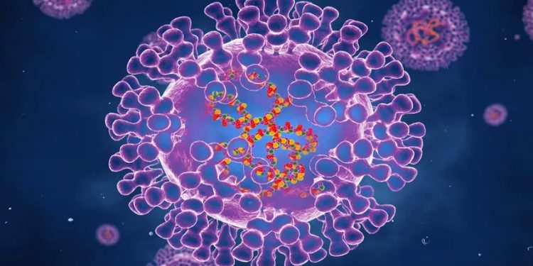 Segundo caso de varíola dos macacos é confirmado no Brasil