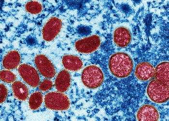 Homens entre 30 e 39 anos são maioria entre os casos confirmados (Foto: CDC/CYNTHIA S. GOLDSMITH/SCIENCE SOURCE)