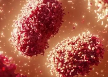 (Foto: Science Photo Library)