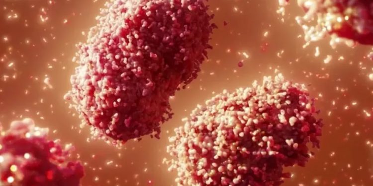 Ceará tem novos casos suspeitos de varíola dos macacos