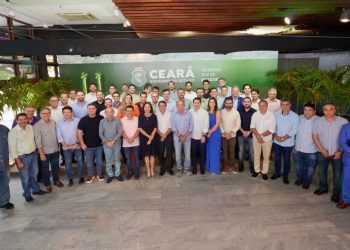 Izolda Cela recebeu apoio de 28 dos 46 deputados estaduais do Ceará (Foto: Divulgação)