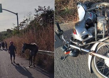 (Foto: Divulgação)