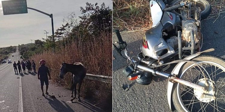 (Foto: Divulgação)