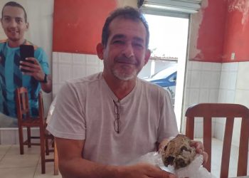 Paleontólogos descobrem que crânio misterioso pertenceu a animal extinto há mais de seis mil anos (Foto: Arquivo pessoal)