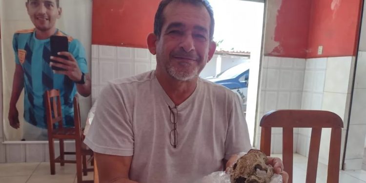 Segundo paleontólogo da Urca, ossada misteriosa achada no Ceará é fóssil de animal extinto há seis mil anos
