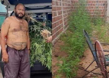 (Foto: Divulgação)