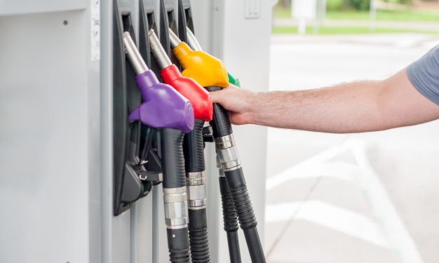 Quais seriam as alternativas à atual política de preços da Petrobras?