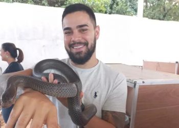 Cobra preta, espécie endêmica na caatinga (Foto: Claudiana Mourato)