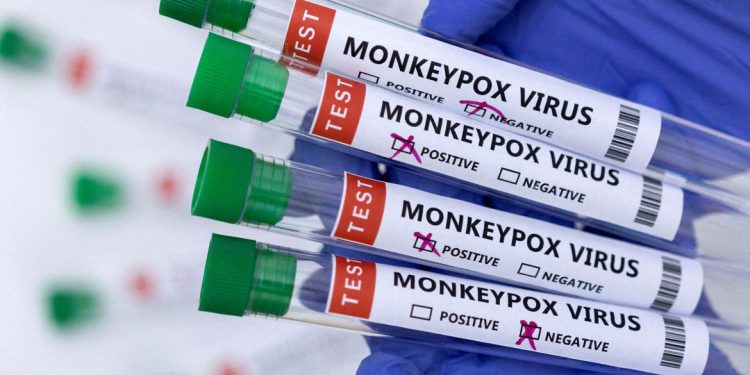 OMS declara varíola dos macacos como emergência de saúde global