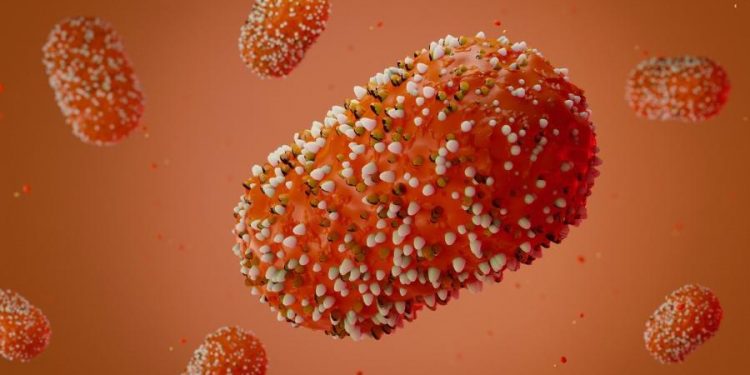 Varíola do macaco: 95% dos casos são transmitidos no sexo; como evitar