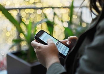 (Foto: Andrés Rodríguez/Pixabay)