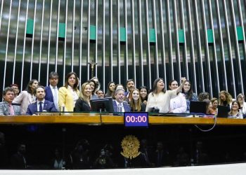 Na Câmara dos Deputados, dos 513 assentos, apenas 76 (14,8%) são ocupados por mulheres atualmente (Foto: Elaine Menke/Câmara do Deputados)