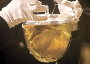 O recipiente de vidro com o coração de Dom Pedro, na igreja de Nossa Senhora da Lapa, no Porto (Foto: Divulgação/Venerável Irmandade Ordem da Lapa)