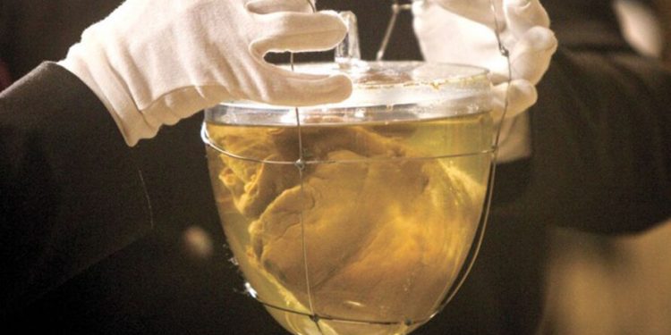 Haja coração! – Por J. Flávio Vieira