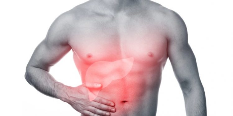 Gordura no fígado é perigosa e não costuma dar sinais; veja como evitá-la