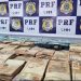 PRF apreende malas com mais de R$ 700 mil em Icó; homem foi preso em flagrante