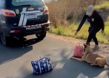 Cão farejador ajudou polícia a localizar as drogas que eram transportadas pela passageira em uma mochila (Foto: Reprodução)