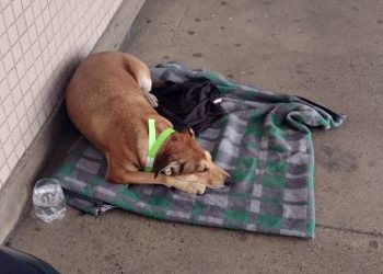 (Foto: Divulgação)